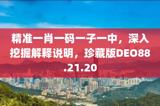 精准一肖一码一子一中，深入挖掘解释说明，珍藏版DEO88.21.20