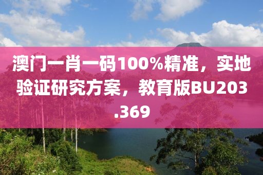 澳门一肖一码100%精准，实地验证研究方案，教育版BU203.369