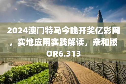 2024澳门特马今晚开奖亿彩网，实地应用实践解读，亲和版OR6.313