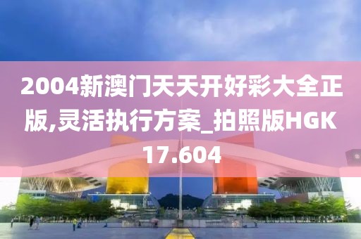 2004新澳门天天开好彩大全正版,灵活执行方案_拍照版HGK17.604