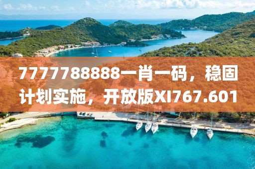 7777788888一肖一码，稳固计划实施，开放版XI767.601