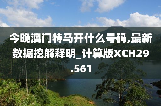 今晚澳门特马开什么号码,最新数据挖解释明_计算版XCH29.561