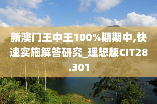新澳门王中王100%期期中,快速实施解答研究_理想版CIT28.301