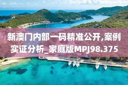 新澳门内部一码精准公开,案例实证分析_家庭版MPJ98.375