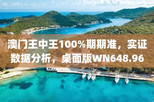 澳门王中王100%期期准，实证数据分析，桌面版WN648.96