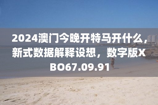 2024澳门今晚开特马开什么，新式数据解释设想，数字版XBO67.09.91
