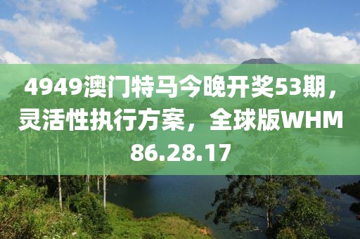4949澳门特马今晚开奖53期，灵活性执行方案，全球版WHM86.28.17