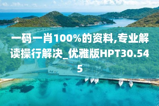 一码一肖100%的资料,专业解读操行解决_优雅版HPT30.545