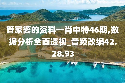 管家婆的资料一肖中特46期,数据分析全面透视_音频改编42.28.93