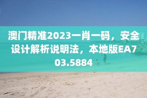 澳门精准2023一肖一码，安全设计解析说明法，本地版EA703.5884