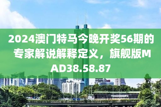 2024澳门特马今晚开奖56期的 专家解说解释定义，旗舰版MAD38.58.87