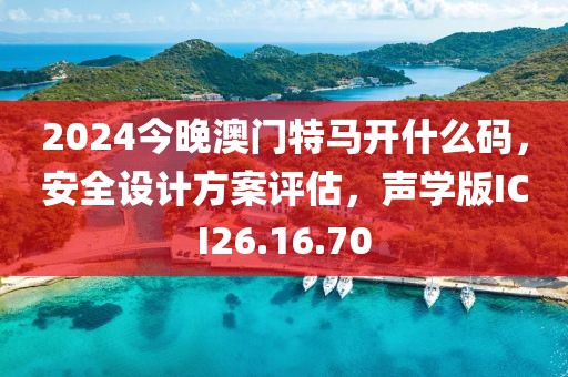 2024今晚澳门特马开什么码，安全设计方案评估，声学版ICI26.16.70