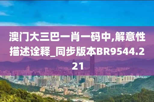 澳门大三巴一肖一码中,解意性描述诠释_同步版本BR9544.221