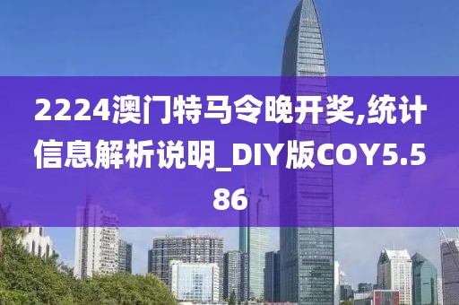 席玮艺 第2页