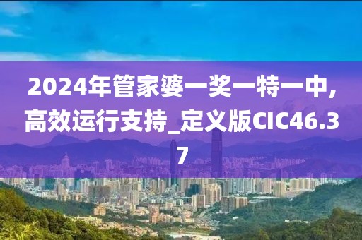 2024年管家婆一奖一特一中,高效运行支持_定义版CIC46.37