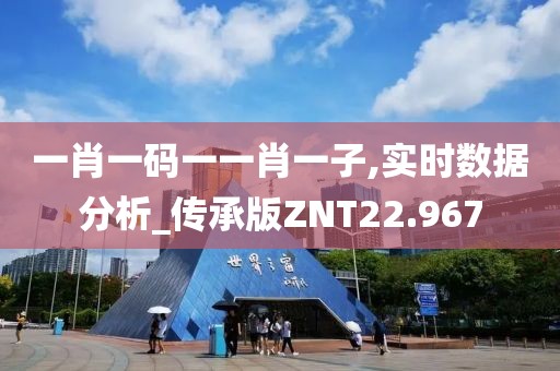 一肖一码一一肖一子,实时数据分析_传承版ZNT22.967