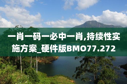 一肖一码一必中一肖,持续性实施方案_硬件版BMO77.272