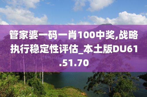 管家婆一码一肖100中奖,战略执行稳定性评估_本土版DU61.51.70