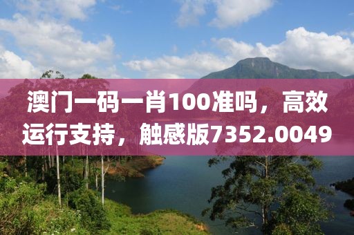 澳门一码一肖100准吗，高效运行支持，触感版7352.0049