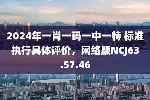 2024年一肖一码一中一特 标准执行具体评价，网络版NCJ63.57.46