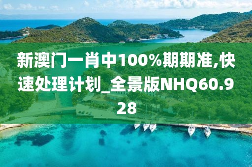 新澳门一肖中100%期期准,快速处理计划_全景版NHQ60.928