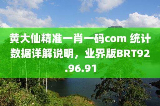 黄大仙精准一肖一码com 统计数据详解说明，业界版BRT92.96.91