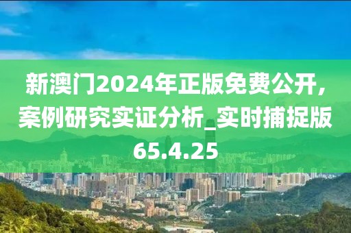 新澳门2024年正版免费公开,案例研究实证分析_实时捕捉版65.4.25