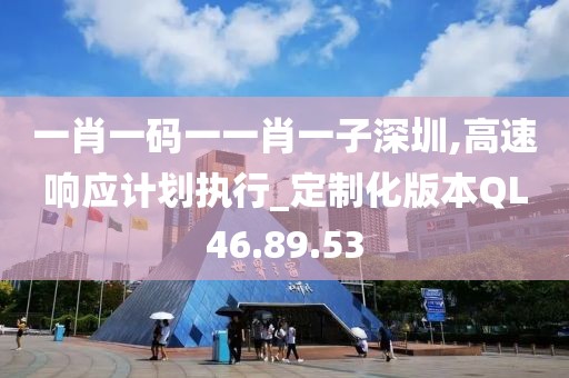 一肖一码一一肖一子深圳,高速响应计划执行_定制化版本QL46.89.53