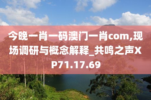 今晚一肖一码澳门一肖com,现场调研与概念解释_共鸣之声XP71.17.69
