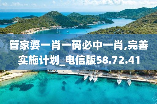 管家婆一肖一码必中一肖,完善实施计划_电信版58.72.41