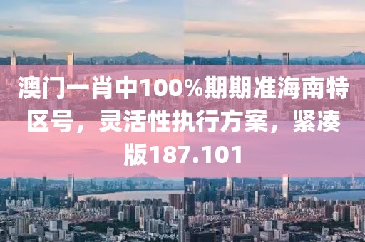 澳门一肖中100%期期准海南特区号，灵活性执行方案，紧凑版187.101