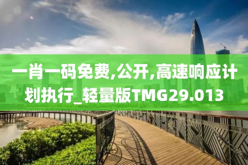 一肖一码免费,公开,高速响应计划执行_轻量版TMG29.013