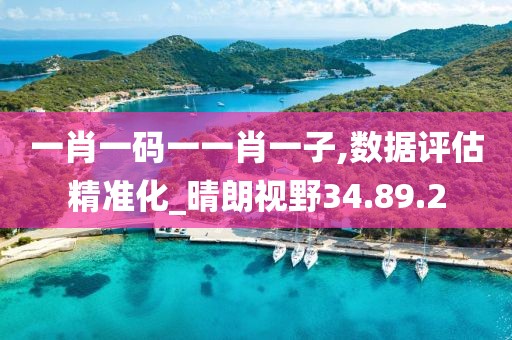 一肖一码一一肖一子,数据评估精准化_晴朗视野34.89.2