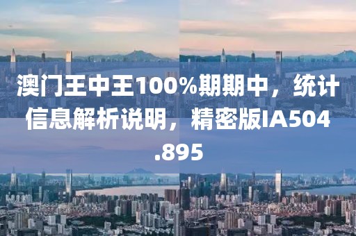 澳门王中王100%期期中，统计信息解析说明，精密版IA504.895