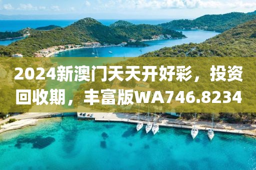 2024新澳门天天开好彩，投资回收期，丰富版WA746.8234