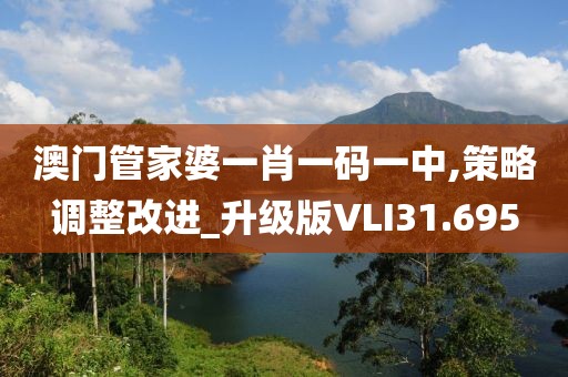 澳门管家婆一肖一码一中,策略调整改进_升级版VLI31.695