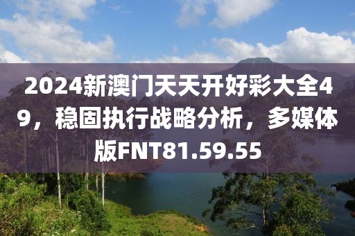 2024新澳门天天开好彩大全49，稳固执行战略分析，多媒体版FNT81.59.55
