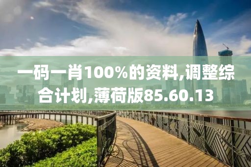 一码一肖100%的资料,调整综合计划,薄荷版85.60.13