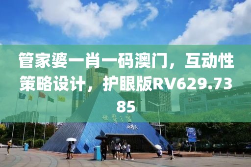 管家婆一肖一码澳门，互动性策略设计，护眼版RV629.7385