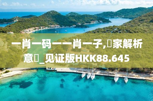 一肖一码一一肖一子,專家解析意見_见证版HKK88.645