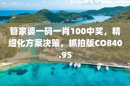 管家婆一码一肖100中奖，精细化方案决策，抓拍版CO840.95