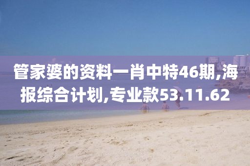 管家婆的资料一肖中特46期,海报综合计划,专业款53.11.62