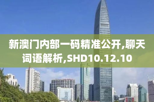 新澳门内部一码精准公开,聊天词语解析,SHD10.12.10