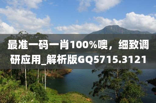 最准一码一肖100%噢，细致调研应用_解析版GQ5715.3121