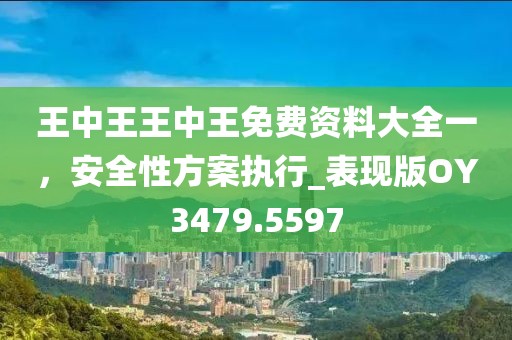 王中王王中王免费资料大全一，安全性方案执行_表现版OY3479.5597