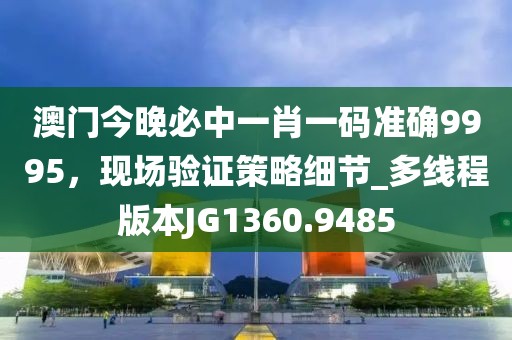 澳门今晚必中一肖一码准确9995，现场验证策略细节_多线程版本JG1360.9485
