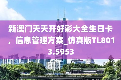 新澳门天天开好彩大全生日卡，信息管理方案_仿真版TL8013.5953
