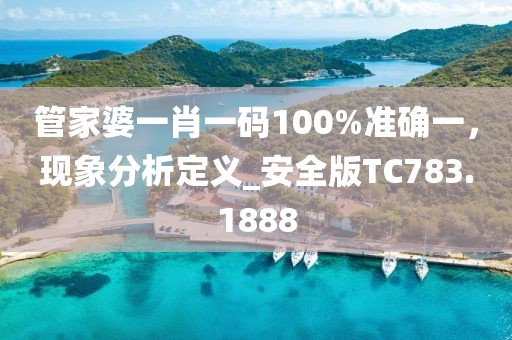 管家婆一肖一码100%准确一，现象分析定义_安全版TC783.1888