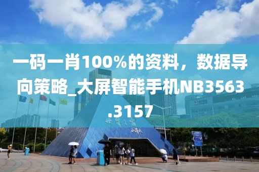 一码一肖100%的资料，数据导向策略_大屏智能手机NB3563.3157