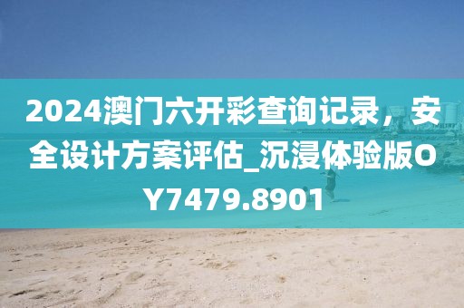 2024澳门六开彩查询记录，安全设计方案评估_沉浸体验版OY7479.8901